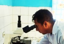 𝗣𝗥𝗢𝗗𝗨𝗖𝗖𝗜𝗢́𝗡 𝗬 𝗖𝗥𝗜𝗢𝗣𝗥𝗘𝗦𝗘𝗥𝗩𝗔𝗖𝗜𝗢́𝗡 𝗗𝗘 𝗣𝗔𝗝𝗜𝗟𝗟𝗔𝗦 𝗘𝗡 𝗘𝗟 𝗡𝗨́𝗖𝗟𝗘𝗢 𝗚𝗘𝗡𝗘́𝗧𝗜𝗖𝗢 𝗗𝗘 𝗔𝗥𝗔𝗣𝗔 – 𝗣.𝗘. 𝗣𝗥𝗔𝗗𝗘𝗥𝗔