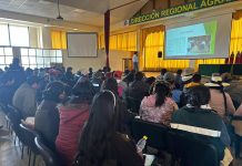 𝗖𝗔𝗣𝗔𝗖𝗜𝗧𝗔𝗖𝗜𝗢́𝗡 𝗘𝗡 𝗔𝗟𝗜𝗠𝗘𝗡𝗧𝗔𝗖𝗜𝗢́𝗡 𝗬 𝗕𝗔𝗟𝗔𝗡𝗖𝗘𝗢 𝗗𝗘 𝗥𝗔𝗖𝗜𝗢𝗡𝗘𝗦 𝗣𝗔𝗥𝗔 𝗚𝗔𝗡𝗔𝗗𝗢 𝗩𝗔𝗖𝗨𝗡𝗢 𝗟𝗘𝗖𝗛𝗘𝗥𝗢