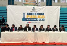 𝗔𝗨𝗗𝗜𝗘𝗡𝗖𝗜𝗔 𝗣Ú𝗕𝗟𝗜𝗖𝗔 𝗗𝗘𝗟 𝗚𝗢BIERNO REGIONAL DE 𝗣𝗨𝗡𝗢 SE DESARROLLÓ ORGANIZADAMENTE