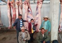 𝗖𝗢𝗠𝗘𝗥𝗖𝗜𝗔𝗟𝗜𝗭𝗔𝗖𝗜𝗢́𝗡 𝗗𝗘 𝗧𝗢𝗥𝗢𝗦 𝗘𝗡𝗚𝗢𝗥𝗗𝗔𝗗𝗢𝗦 𝗛𝗔𝗖𝗜𝗔 𝗔𝗥𝗘𝗤𝗨𝗜𝗣𝗔 𝗗𝗜𝗢 𝗕𝗨𝗘𝗡𝗢𝗦 𝗥𝗘𝗦𝗨𝗟𝗧𝗔𝗗𝗢𝗦