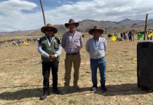 𝗣𝗥𝗢𝗙𝗘𝗦𝗜𝗢𝗡𝗔𝗟𝗘𝗦 𝗗𝗘 𝗣𝗥𝗔𝗗𝗘𝗥𝗔 𝗣𝗔𝗥𝗧𝗜𝗖𝗜𝗣𝗔𝗡 𝗖𝗢𝗠𝗢 𝗝𝗨𝗘𝗖𝗘𝗦 𝗘𝗡 𝗙𝗘𝗥𝗜𝗔𝗦 𝗚𝗔𝗡𝗔𝗗𝗘𝗥𝗔𝗦