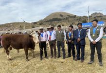 𝗖𝗢𝗡 𝗘́𝗫𝗜𝗧𝗢 𝗦𝗘 𝗗𝗘𝗦𝗔𝗥𝗥𝗢𝗟𝗟𝗢́ 𝗘𝗟 𝗖𝗢𝗡𝗖𝗨𝗥𝗦𝗢 𝗗𝗘𝗟 𝗧𝗢𝗥𝗢 𝗘𝗡𝗚𝗢𝗥𝗗𝗔𝗗𝗢, «𝗧𝗢𝗥𝗢 𝗟𝗜𝗤𝗜’𝗡 𝗣’𝗨𝗡𝗖𝗛𝗔𝗪𝗜𝗣𝗔»