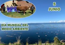 𝗗𝗜́𝗔 𝗜𝗡𝗧𝗘𝗥𝗡𝗔𝗖𝗜𝗢𝗡𝗔𝗟 𝗗𝗘𝗟 𝗠𝗘𝗗𝗜𝗢 𝗔𝗠𝗕𝗜𝗘𝗡𝗧𝗘