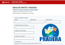 ᴘ.ᴇ. ᴘʀᴀᴅᴇʀᴀ ɪᴍᴘʟᴇᴍᴇɴᴛᴀ ᴍᴇꜱᴀ ᴅᴇ ᴘᴀʀᴛᴇꜱ ᴠɪʀᴛᴜᴀʟ ᴘᴀʀᴀ ᴀᴛᴇɴᴄɪÓɴ ᴅᴏᴄᴜᴍᴇɴᴛᴀʀɪᴀ ʀÁᴘɪᴅᴀ