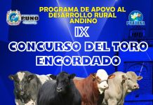 𝗜𝗫 𝗖𝗢𝗡𝗖𝗨𝗥𝗦𝗢 𝗗𝗘𝗟 𝗧𝗢𝗥𝗢 𝗘𝗡𝗚𝗢𝗥𝗗𝗔𝗗𝗢, 𝗛𝗨𝗔𝗡𝗖𝗔𝗡𝗘́ – 𝟮𝟬𝟮𝟯 ❞𝗝𝗔𝗖𝗛❜𝗔 𝗔𝗧𝗜𝗣𝗧❜𝗔𝗦𝗜𝗪𝗜 𝗧𝗢𝗥𝗢 𝗟𝗜𝗞❜𝗜𝗡𝗧𝗔𝗬𝗔𝗧𝗔𝗡𝗔𝗞𝗔❞ 𝗬 𝗥𝗘𝗠𝗔𝗧𝗘 𝗔 𝗠𝗔𝗥𝗧𝗜𝗟𝗟𝗢 𝗗𝗘 𝗚𝗔𝗡𝗔𝗗𝗢 𝗩𝗔𝗖𝗨𝗡𝗢 𝗣𝗔𝗥𝗔 𝗖𝗔𝗠𝗔𝗟 𝗬 𝗥𝗘𝗣𝗥𝗢𝗗𝗨𝗖𝗖𝗜𝗢́𝗡