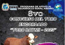 𝗩𝗜𝗜𝗜 𝗖𝗢𝗡𝗖𝗨𝗥𝗦𝗢 𝗗𝗘𝗟 𝗧𝗢𝗥𝗢 𝗘𝗡𝗚𝗢𝗥𝗗𝗔𝗗𝗢 – «𝗧𝗢𝗥𝗢 𝗥𝗔𝗬𝗠𝗜 𝗔𝗭𝗔́𝗡𝗚𝗔𝗥𝗢 – 𝟮𝟬𝟮𝟯» 𝗬 𝗣𝗥𝗜𝗠𝗘𝗥 𝗥𝗘𝗠𝗔𝗧𝗘 𝗔𝗟 𝗠𝗔𝗥𝗧𝗜𝗟𝗟𝗢 𝗗𝗘 𝗚𝗔𝗡𝗔𝗗𝗢 𝗣𝗔𝗥𝗔 𝗖𝗔𝗠𝗔𝗟 𝗬 𝗥𝗘𝗣𝗥𝗢𝗗𝗨𝗖𝗖𝗜𝗢́𝗡 𝗗𝗘 𝗧𝗢𝗥𝗢𝗦 𝗘𝗡𝗚𝗢𝗥𝗗𝗔𝗗𝗢𝗦