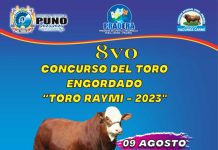 𝟴𝘃𝗼. 𝗖𝗢𝗡𝗖𝗨𝗥𝗦𝗢 𝗗𝗘𝗟 𝗧𝗢𝗥𝗢 𝗘𝗡𝗚𝗢𝗥𝗗𝗔𝗗𝗢 «𝗧𝗢𝗥𝗢 𝗥𝗔𝗬𝗠𝗜» 𝗦𝗘 𝗥𝗘𝗔𝗟𝗜𝗭𝗔𝗥𝗔́ 𝗘𝗦𝗧𝗘 𝟬𝟵 𝗗𝗘 𝗔𝗚𝗢𝗦𝗧𝗢 𝗘𝗡 𝗘𝗟 𝗖𝗔𝗠𝗣𝗢 𝗙𝗘𝗥𝗜𝗔𝗟 𝗗𝗘 𝗔𝗭𝗔́𝗡𝗚𝗔𝗥𝗢