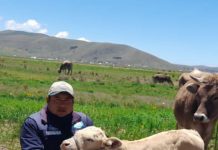 𝗦𝗘𝗚𝗨𝗜𝗠𝗜𝗘𝗡𝗧𝗢 𝗗𝗘 𝗖𝗥𝗜𝗔𝗦 𝗟𝗢𝗚𝗥𝗔𝗗𝗔𝗦 𝗡𝗔𝗖𝗜𝗗𝗔𝗦 𝗣𝗢𝗥 𝗜𝗡𝗦𝗘𝗠𝗜𝗡𝗔𝗖𝗜𝗢́𝗡 𝗔𝗥𝗧𝗜𝗙𝗜𝗖𝗜𝗔𝗟 𝗘𝗡 𝗣𝗢𝗠𝗔𝗧𝗔