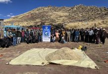 𝗣𝗥𝗢𝗗𝗨𝗖𝗧𝗢𝗥𝗘𝗦 𝗔𝗚𝗥𝗢𝗣𝗘𝗖𝗨𝗔𝗥𝗜𝗢𝗦 𝗗𝗘𝗟 𝗗𝗜𝗦𝗧𝗥𝗜𝗧𝗢 𝗗𝗘 𝗠𝗔𝗡̃𝗔𝗭𝗢 𝗙𝗨𝗘𝗥𝗢𝗡 𝗖𝗔𝗣𝗔𝗖𝗜𝗧𝗔𝗗𝗢𝗦 𝗘𝗡 𝗘𝗡𝗚𝗢𝗥𝗗𝗘 𝗗𝗘 𝗚𝗔𝗡𝗔𝗗𝗢 𝗩𝗔𝗖𝗨𝗡𝗢