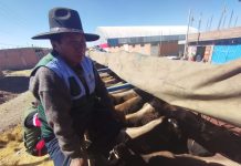 𝗣𝗥𝗢𝗗𝗨𝗖𝗧𝗢𝗥𝗘𝗦 𝗗𝗘 𝗠𝗢𝗛𝗢 𝗟𝗟𝗘𝗩𝗔𝗥𝗢𝗡 𝗚𝗔𝗡𝗔𝗗𝗢 𝗠𝗘𝗝𝗢𝗥𝗔𝗗𝗢 𝗔 𝗖𝗔𝗠𝗔𝗟 𝗗𝗘 𝗔𝗥𝗘𝗤𝗨𝗜𝗣𝗔