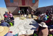 𝗖𝗔𝗣𝗔𝗖𝗜𝗧𝗔𝗖𝗜𝗢́𝗡 𝗘𝗡 𝗔𝗟𝗜𝗠𝗘𝗡𝗧𝗢 𝗕𝗔𝗟𝗔𝗡𝗖𝗘𝗔𝗗𝗢 𝗣𝗔𝗥𝗔 𝗘𝗡𝗚𝗢𝗥𝗗𝗘 𝗗𝗘 𝗚𝗔𝗡𝗔𝗗𝗢 𝗩𝗔𝗖𝗨𝗡𝗢 𝗘𝗡 𝗔𝗦𝗜𝗟𝗟𝗢