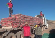 𝗠𝗔𝗧𝗘𝗥𝗜𝗔𝗟𝗘𝗦 𝗗𝗘 𝗖𝗢𝗡𝗦𝗧𝗥𝗨𝗖𝗖𝗜𝗢́𝗡 𝗣𝗔𝗥𝗔 𝗠𝗢́𝗗𝗨𝗟𝗢𝗦 𝗗𝗘𝗠𝗢𝗦𝗧𝗥𝗔𝗧𝗜𝗩𝗢𝗦 𝗘𝗡 𝗣𝗔𝗨𝗖𝗔𝗥𝗖𝗢𝗟𝗟𝗔 𝗬 𝗖𝗢𝗔𝗧𝗔