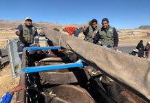 𝗥𝗘𝗔𝗟𝗜𝗭𝗔𝗡 𝗦𝗘𝗚𝗨𝗡𝗗𝗢 𝗘𝗠𝗕𝗔𝗥𝗤𝗨𝗘 𝗗𝗘 𝗚𝗔𝗡𝗔𝗗𝗢 𝗠𝗘𝗝𝗢𝗥𝗔𝗗𝗢 𝗔𝗟 𝗖𝗔𝗠𝗔𝗟 𝗗𝗘 𝗔𝗥𝗘𝗤𝗨𝗜𝗣𝗔