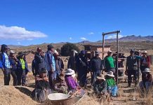 𝗢𝗥𝗜𝗘𝗡𝗧𝗔𝗖𝗜𝗢́𝗡 𝗬 𝗖𝗢𝗡𝗦𝗧𝗥𝗨𝗖𝗖𝗜𝗢́𝗡 𝗗𝗘 𝗕𝗥𝗘𝗧𝗘 𝗣𝗔𝗥𝗔 𝗚𝗔𝗡𝗔𝗗𝗢 𝗩𝗔𝗖𝗨𝗡𝗢 𝗘𝗡 𝗢𝗥𝗨𝗥𝗜𝗟𝗟𝗢