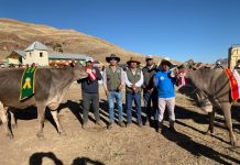 𝗣𝗥𝗢𝗙𝗘𝗦𝗜𝗢𝗡𝗔𝗟𝗘𝗦 𝗗𝗘 𝗣.𝗘. 𝗣𝗥𝗔𝗗𝗘𝗥𝗔 𝗙𝗨𝗘𝗥𝗢𝗡 𝗝𝗨𝗘𝗖𝗘𝗦 𝗘𝗡 𝗙𝗘𝗥𝗜𝗔 𝗚𝗔𝗡𝗔𝗗𝗘𝗥𝗔 𝗗𝗘 𝗧𝗜𝗥𝗔𝗣𝗔𝗧𝗔