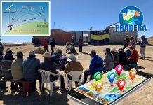 𝗣𝗥𝗢𝗬𝗘𝗖𝗧𝗢 𝗩𝗔𝗖𝗨𝗡𝗢𝗦 𝗖𝗔𝗥𝗡𝗘 𝗣𝗢𝗡𝗘 𝗘𝗡 𝗢𝗣𝗘𝗥𝗔𝗧𝗜𝗩𝗜𝗗𝗔𝗗 𝗡𝗨𝗘𝗩𝗢 𝗔𝗣𝗟𝗜𝗖𝗔𝗧𝗜𝗩𝗢 𝗣𝗔𝗥𝗔 𝗢𝗣𝗧𝗜𝗠𝗜𝗭𝗔𝗥 𝗘𝗟 𝗧𝗥𝗔𝗕𝗔𝗝𝗢