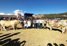 𝗘𝗫𝗜𝗧𝗢𝗦𝗢 𝗜𝗫 𝗖𝗢𝗡𝗖𝗨𝗥𝗦𝗢 𝗗𝗘𝗟 𝗧𝗢𝗥𝗢 𝗘𝗡𝗚𝗢𝗥𝗗𝗔𝗗𝗢 ❞𝗝𝗔𝗖𝗛’𝗔 𝗔𝗧𝗜𝗣𝗧’𝗔𝗦𝗜𝗪𝗜 𝗧𝗢𝗥𝗢 𝗟𝗜𝗞’𝗜𝗡𝗧𝗔𝗬𝗔𝗧𝗔𝗡𝗔𝗞𝗔❞, 𝗘𝗡 𝗟𝗔 𝗣𝗥𝗢𝗩𝗜𝗡𝗖𝗜𝗔 𝗗𝗘 𝗛𝗨𝗔𝗡𝗖𝗔𝗡𝗘́