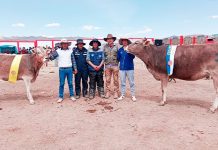 𝗣𝗥𝗢𝗙𝗘𝗦𝗜𝗢𝗡𝗔𝗟𝗘𝗦 𝗗𝗘𝗟 𝗣𝗥𝗢𝗬𝗘𝗖𝗧𝗢 𝗩𝗔𝗖𝗨𝗡𝗢𝗦 𝗖𝗔𝗥𝗡𝗘, 𝗣𝗔𝗥𝗧𝗜𝗖𝗜𝗣𝗔𝗡 𝗖𝗢𝗠𝗢 𝗝𝗨𝗘𝗖𝗘𝗦 𝗘𝗡 𝗙𝗘𝗥𝗜𝗔𝗦 𝗚𝗔𝗡𝗔𝗗𝗘𝗥𝗔𝗦