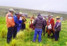 𝗔𝗦𝗜𝗦𝗧𝗘𝗡𝗖𝗜𝗔 𝗧𝗘́𝗖𝗡𝗜𝗖𝗔 𝗘𝗡 𝗠𝗔𝗡𝗘𝗝𝗢 𝗬 𝗖𝗢𝗡𝗦𝗘𝗥𝗩𝗔𝗖𝗜𝗢́𝗡 𝗗𝗘 𝗙𝗢𝗥𝗥𝗔𝗝𝗘𝗦 𝗘𝗡 𝗩𝗜𝗟𝗤𝗨𝗘𝗖𝗛𝗜𝗖𝗢