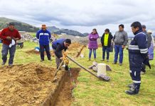 𝗣𝗥𝗜𝗠𝗘𝗥𝗔 𝗣𝗜𝗘𝗗𝗥𝗔: 𝗠𝗢́𝗗𝗨𝗟𝗢𝗦 𝗗𝗘𝗠𝗢𝗦𝗧𝗥𝗔𝗧𝗜𝗩𝗢𝗦 𝗗𝗘 𝗘𝗡𝗚𝗢𝗥𝗗𝗘 𝗗𝗘 𝗚𝗔𝗡𝗔𝗗𝗢 𝗩𝗔𝗖𝗨𝗡𝗢 𝗘𝗡 𝗛𝗨𝗔𝗡𝗖𝗔𝗡𝗘́ 𝗬 𝗔𝗭𝗔́𝗡𝗚𝗔𝗥𝗢