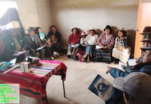 𝗔𝗦𝗜𝗦𝗧𝗘𝗡𝗖𝗜𝗔 𝗧𝗘́𝗖𝗡𝗜𝗖𝗔 𝗘𝗡 𝗦𝗔𝗡𝗜𝗗𝗔𝗗 𝗔𝗡𝗜𝗠𝗔𝗟, 𝗘𝗡 𝗟𝗔 𝗖𝗢𝗠𝗨𝗡𝗜𝗗𝗔𝗗 𝗖𝗔𝗠𝗣𝗘𝗦𝗜𝗡𝗔 𝗧𝗔𝗣𝗢𝗝𝗘 – 𝗬𝗨𝗡𝗚𝗨𝗬𝗢