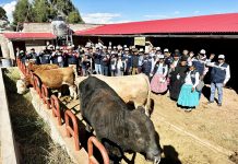 𝗣𝗔𝗦𝗔𝗡𝗧𝗜́𝗔 𝗔 𝗖𝗘𝗡𝗧𝗥𝗢𝗦 𝗗𝗘 𝗘𝗡𝗚𝗢𝗥𝗗𝗘 𝗗𝗘 𝗟𝗔 𝗣𝗥𝗢𝗩𝗜𝗡𝗖𝗜𝗔 𝗗𝗘 𝗛𝗨𝗔𝗡𝗖𝗔𝗡𝗘́ 𝗬 𝗟𝗔 𝗥𝗘𝗚𝗜𝗢́𝗡 𝗔𝗥𝗘𝗤𝗨𝗜𝗣𝗔