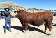 𝗚𝗥𝗔𝗡 𝗖𝗢𝗡𝗖𝗨𝗥𝗦𝗢 𝗗𝗘𝗟 𝗧𝗢𝗥𝗢 𝗘𝗡𝗚𝗢𝗥𝗗𝗔𝗗𝗢 «𝗧𝗢𝗥𝗢 𝗟𝗜𝗤𝗨𝗜’𝗡 𝗣’𝗨𝗡𝗖𝗛𝗔𝗪𝗜𝗣𝗔 𝗝𝗨𝗟𝗜 𝟮𝟬𝟮𝟰»