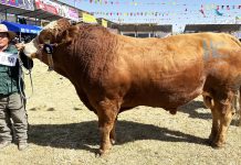 𝗚𝗥𝗔𝗡 𝗘́𝗫𝗜𝗧𝗢 𝗗𝗘𝗟 𝗖𝗢𝗡𝗖𝗨𝗥𝗦𝗢 𝗥𝗘𝗚𝗜𝗢𝗡𝗔𝗟 𝗗𝗘𝗟 𝗧𝗢𝗥𝗢 𝗘𝗡𝗚𝗢𝗥𝗗𝗔𝗗𝗢 𝗘𝗡 𝗙𝗘𝗚𝗔𝗦𝗨𝗥 𝟮𝟬𝟮𝟰