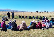 𝗖𝗔𝗣𝗔𝗖𝗜𝗧𝗔𝗡 𝗔 𝗣𝗥𝗢𝗗𝗨𝗖𝗧𝗢𝗥𝗘𝗦 𝗗𝗘 𝗖𝗢𝗣𝗔𝗡𝗜 𝗘𝗡 𝗧𝗘́𝗖𝗡𝗜𝗖𝗔𝗦 𝗗𝗘 𝗖𝗢𝗡𝗦𝗘𝗥𝗩𝗔𝗖𝗜𝗢́𝗡 𝗗𝗘 𝗙𝗢𝗥𝗥𝗔𝗝𝗘𝗦