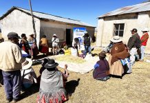 𝗖𝗔𝗣𝗔𝗖𝗜𝗧𝗔𝗖𝗜𝗢́𝗡 𝗧𝗘𝗢́𝗥𝗜𝗖𝗢 – 𝗣𝗥𝗔́𝗖𝗧𝗜𝗖𝗔 𝗘𝗡 𝗣𝗥𝗘𝗣𝗔𝗥𝗔𝗖𝗜𝗢́𝗡 𝗗𝗘 𝗔𝗟𝗜𝗠𝗘𝗡𝗧𝗢 𝗕𝗔𝗟𝗔𝗡𝗖𝗘𝗔𝗗𝗢 𝗣𝗔𝗥𝗔 𝗩𝗔𝗖𝗨𝗡𝗢𝗦 𝗗𝗘 𝗖𝗔𝗥𝗡𝗘 𝗘𝗡 𝗝𝗨𝗟𝗜