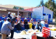 𝗔𝗟𝗜𝗠𝗘𝗡𝗧𝗢 𝗕𝗔𝗟𝗔𝗡𝗖𝗘𝗔𝗗𝗢 𝗣𝗔𝗥𝗔 𝗩𝗔𝗖𝗨𝗡𝗢𝗦 𝗗𝗘 𝗖𝗔𝗥𝗡𝗘 𝗘𝗡 𝗔𝗥𝗔𝗣𝗔