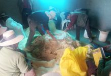 𝗖𝗔𝗣𝗔𝗖𝗜𝗧𝗔𝗖𝗜𝗢́𝗡 𝗘𝗡 𝗔𝗟𝗜𝗠𝗘𝗡𝗧𝗢 𝗕𝗔𝗟𝗔𝗡𝗖𝗘𝗔𝗗𝗢 𝗣𝗔𝗥𝗔 𝗩𝗔𝗖𝗨𝗡𝗢𝗦 𝗗𝗘 𝗖𝗔𝗥𝗡𝗘 𝗘𝗡 𝗩𝗜𝗟𝗤𝗨𝗘