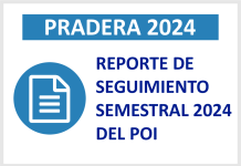 REPORTE DE SEGUIMIENTO SEMESTRAL 2024 DEL POI
