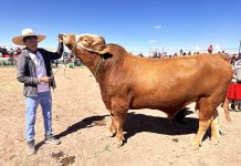 𝗛𝗘𝗥𝗠𝗢𝗦𝗢𝗦 𝗘𝗝𝗘𝗠𝗣𝗟𝗔𝗥𝗘𝗦 𝗘𝗡 𝗘𝗟 𝗖𝗢𝗡𝗖𝗨𝗥𝗦𝗢 𝗗𝗘𝗟 𝗧𝗢𝗥𝗢 𝗘𝗡𝗚𝗢𝗥𝗗𝗔𝗗𝗢, 𝗧𝗢𝗥𝗢 𝗥𝗔𝗬𝗠𝗜 𝗔𝗭𝗔́𝗡𝗚𝗔𝗥𝗢 𝟮𝟬𝟮𝟰