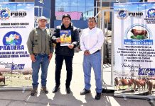 𝗣𝗥𝗔𝗗𝗘𝗥𝗔 𝗙𝗢𝗥𝗧𝗔𝗟𝗘𝗖𝗘 𝗟𝗔 𝗘𝗖𝗢𝗡𝗢𝗠𝗜́𝗔 𝗗𝗘𝗟 𝗗𝗜𝗦𝗧𝗥𝗜𝗧𝗢 𝗗𝗘 𝗢𝗥𝗨𝗥𝗜𝗟𝗟𝗢 𝗠𝗘𝗗𝗜𝗔𝗡𝗧𝗘 𝗘𝗟 𝗣𝗥𝗢𝗬𝗘𝗖𝗧𝗢 𝗩𝗔𝗖𝗨𝗡𝗢𝗦 𝗖𝗔𝗥𝗡𝗘