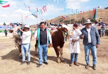 𝗚𝗥𝗔𝗡 𝗔𝗖𝗢𝗚𝗜𝗗𝗔 𝗘𝗡 𝗘𝗟 𝗧𝗢𝗥𝗢 𝗥𝗔𝗬𝗠𝗜 𝗢𝗥𝗨𝗥𝗜𝗟𝗟𝗢, 𝗠𝗘𝗟𝗚𝗔𝗥 – 𝟮𝟬𝟮𝟰