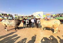 𝗠𝗔́𝗦 𝗗𝗘 𝟭𝟰𝟬 𝗘𝗝𝗘𝗠𝗣𝗟𝗔𝗥𝗘𝗦 𝗣𝗔𝗥𝗧𝗜𝗖𝗜𝗣𝗔𝗥𝗢𝗡 𝗘𝗡 𝗘𝗟 𝗧𝗢𝗥𝗢 𝗥𝗔𝗬𝗠𝗜 𝗧𝗔𝗥𝗔𝗖𝗢 𝟮𝟬𝟮𝟰