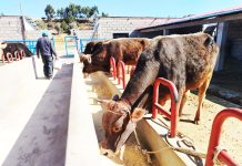 𝗚𝗥𝗔𝗡 𝗜𝗡𝗔𝗨𝗚𝗨𝗥𝗔𝗖𝗜𝗢́𝗡 𝗗𝗘 𝗠𝗢́𝗗𝗨𝗟𝗢𝗦 𝗗𝗘𝗠𝗢𝗦𝗧𝗥𝗔𝗧𝗜𝗩𝗢𝗦 𝗗𝗘 𝗘𝗡𝗚𝗢𝗥𝗗𝗘 𝗗𝗘 𝗚𝗔𝗡𝗔𝗗𝗢 𝗩𝗔𝗖𝗨𝗡𝗢