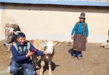 𝗠𝗢𝗡𝗜𝗧𝗢𝗥𝗘𝗢 𝗬 𝗥𝗘𝗚𝗜𝗦𝗧𝗥𝗢 𝗗𝗘 𝗖𝗥𝗜́𝗔𝗦 𝗡𝗔𝗖𝗜𝗗𝗔𝗦 𝗣𝗢𝗥 𝗜𝗡𝗦𝗘𝗠𝗜𝗡𝗔𝗖𝗜𝗢́𝗡 𝗔𝗥𝗧𝗜𝗙𝗜𝗖𝗜𝗔𝗟 𝗘𝗡 𝗛𝗨𝗔𝗖𝗨𝗟𝗟𝗔𝗡𝗜 𝗬 𝗖𝗛𝗨𝗣𝗔