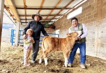 𝟰𝟳𝟱𝟲 𝗜𝗡𝗦𝗘𝗠𝗜𝗡𝗔𝗖𝗜𝗢𝗡𝗘𝗦 𝗔𝗥𝗧𝗜𝗙𝗜𝗖𝗜𝗔𝗟𝗘𝗦 𝗣𝗔𝗥𝗔 𝗠𝗘𝗝𝗢𝗥𝗔𝗥 𝗟𝗔 𝗖𝗔𝗟𝗜𝗗𝗔𝗗 𝗚𝗘𝗡𝗘́𝗧𝗜𝗖𝗔 𝗗𝗘 𝗩𝗔𝗖𝗨𝗡𝗢𝗦 𝗗𝗘 𝗖𝗔𝗥𝗡𝗘