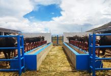 𝗠𝗢́𝗗𝗨𝗟𝗢𝗦 𝗗𝗘𝗠𝗢𝗦𝗧𝗥𝗔𝗧𝗜𝗩𝗢𝗦 𝗚𝗥𝗔𝗡 𝗦𝗢𝗣𝗢𝗥𝗧𝗘 𝗘𝗡 𝗘𝗟 𝗣𝗥𝗢𝗖𝗘𝗦𝗢 𝗗𝗘 𝗘𝗡𝗚𝗢𝗥𝗗𝗘 𝗗𝗘 𝗚𝗔𝗡𝗔𝗗𝗢 𝗩𝗔𝗖𝗨𝗡𝗢