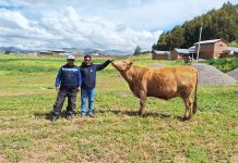 𝗣𝗥𝗢𝗖𝗘𝗦𝗢 𝗗𝗘 𝗘𝗡𝗚𝗢𝗥𝗗𝗘 𝗗𝗘 𝗚𝗔𝗡𝗔𝗗𝗢 𝗩𝗔𝗖𝗨𝗡𝗢 𝗗𝗔 𝗥𝗘𝗦𝗨𝗟𝗧𝗔𝗗𝗢𝗦 𝗢́𝗣𝗧𝗜𝗠𝗢𝗦