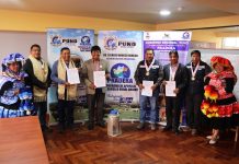 𝗣𝗔𝗝𝗜𝗟𝗟𝗔𝗦 𝗗𝗘 𝗦𝗘𝗠𝗘𝗡 𝗖𝗢𝗡𝗚𝗘𝗟𝗔𝗗𝗢 𝗗𝗘 𝗟𝗔 𝗥𝗔𝗭𝗔 𝗦𝗜𝗠𝗠𝗘𝗡𝗧𝗔𝗟 𝗙𝗟𝗘𝗖𝗞𝗩𝗜𝗘𝗛 𝗣𝗔𝗥𝗔 𝗗𝗜𝗦𝗧𝗥𝗜𝗧𝗢𝗦 𝗬 𝗣𝗥𝗢𝗩𝗜𝗡𝗖𝗜𝗔𝗦 𝗡𝗢 𝗕𝗘𝗡𝗘𝗙𝗜𝗖𝗜𝗔𝗥𝗜𝗢𝗦