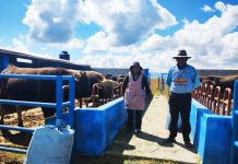 𝗣𝗥𝗢𝗖𝗘𝗦𝗢 𝗗𝗘 𝗘𝗡𝗚𝗢𝗥𝗗𝗘 𝗗𝗘 𝗚𝗔𝗡𝗔𝗗𝗢 𝗩𝗔𝗖𝗨𝗡𝗢, 𝗨𝗡𝗔 𝗙𝗢𝗥𝗠𝗔 𝗗𝗘 𝗛𝗔𝗖𝗘𝗥 𝗘𝗠𝗣𝗥𝗘𝗦𝗔