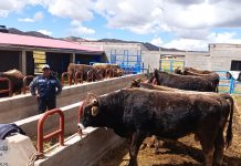 𝗠𝗢́𝗗𝗨𝗟𝗢𝗦 𝗗𝗘𝗠𝗢𝗦𝗧𝗥𝗔𝗧𝗜𝗩𝗢𝗦 𝗚𝗥𝗔𝗡 𝗔𝗣𝗢𝗬𝗢 𝗘𝗡 𝗘𝗟 𝗘𝗡𝗚𝗢𝗥𝗗𝗘 𝗗𝗘 𝗚𝗔𝗡𝗔𝗗𝗢 𝗩𝗔𝗖𝗨𝗡𝗢 𝗘𝗡 𝗭𝗘𝗣𝗜𝗧𝗔