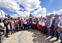 𝗘𝗡𝗧𝗥𝗘𝗚𝗔 𝗗𝗘 𝗠𝗢𝗟𝗜𝗡𝗢𝗦 𝗣𝗜𝗖𝗔𝗗𝗢𝗥𝗔𝗦 𝗚𝗔𝗥𝗔𝗡𝗧𝗜𝗭𝗔 𝗘𝗟 𝗔𝗟𝗜𝗠𝗘𝗡𝗧𝗢 𝗕𝗔𝗟𝗔𝗡𝗖𝗘𝗔𝗗𝗢 𝗗𝗘 𝗩𝗔𝗖𝗨𝗡𝗢𝗦