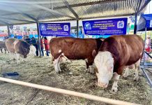 𝗣𝗥𝗢𝗬𝗘𝗖𝗧𝗢 𝗘𝗦𝗣𝗘𝗖𝗜𝗔𝗟 𝗣𝗥𝗔𝗗𝗘𝗥𝗔 𝗗𝗘𝗦𝗧𝗔𝗖𝗔 𝗖𝗢𝗡 𝗙𝗨𝗘𝗥𝗭𝗔 𝗘𝗡 𝗙𝗘𝗚𝗔𝗦𝗨𝗥 – 𝟮𝟬𝟮𝟱