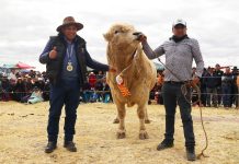 𝗣𝗥𝗔𝗗𝗘𝗥𝗔 𝗜𝗠𝗣𝗨𝗟𝗦𝗔 𝗘𝗟 𝗗𝗘𝗦𝗔𝗥𝗥𝗢𝗟𝗟𝗢 𝗚𝗔𝗡𝗔𝗗𝗘𝗥𝗢 𝗖𝗢𝗡 𝗘𝗟 𝗧𝗢𝗥𝗢 𝗥𝗔𝗬𝗠𝗜 𝗣𝗔𝗨𝗖𝗔𝗥𝗖𝗢𝗟𝗟𝗔 – 𝟮𝟬𝟮𝟱