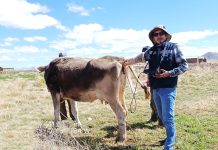 𝗜𝗡𝗦𝗘𝗠𝗜𝗡𝗔𝗖𝗜𝗢𝗡𝗘𝗦 𝗘𝗫𝗜𝗧𝗢𝗦𝗔𝗦, 𝗣𝗥𝗔𝗗𝗘𝗥𝗔 𝗖𝗢𝗡𝗙𝗜𝗥𝗠𝗔 𝗚𝗘𝗦𝗧𝗔𝗖𝗜𝗢𝗡𝗘𝗦 𝗖𝗢𝗡 𝗨𝗟𝗧𝗥𝗔𝗦𝗢𝗡𝗜𝗗𝗢