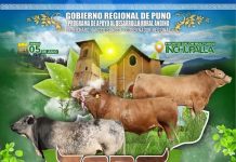 𝗧𝗢𝗥𝗢 𝗥𝗔𝗬𝗠𝗜 𝗜𝗡𝗖𝗛𝗨𝗣𝗔𝗟𝗟𝗔 – 𝟮𝟬𝟮𝟱 – HUANCANÉ